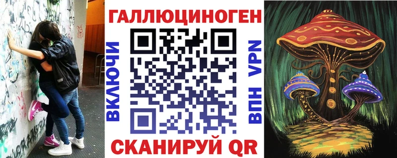 где купить наркотик  Абаза  Галлюциногенные грибы Psilocybe 
